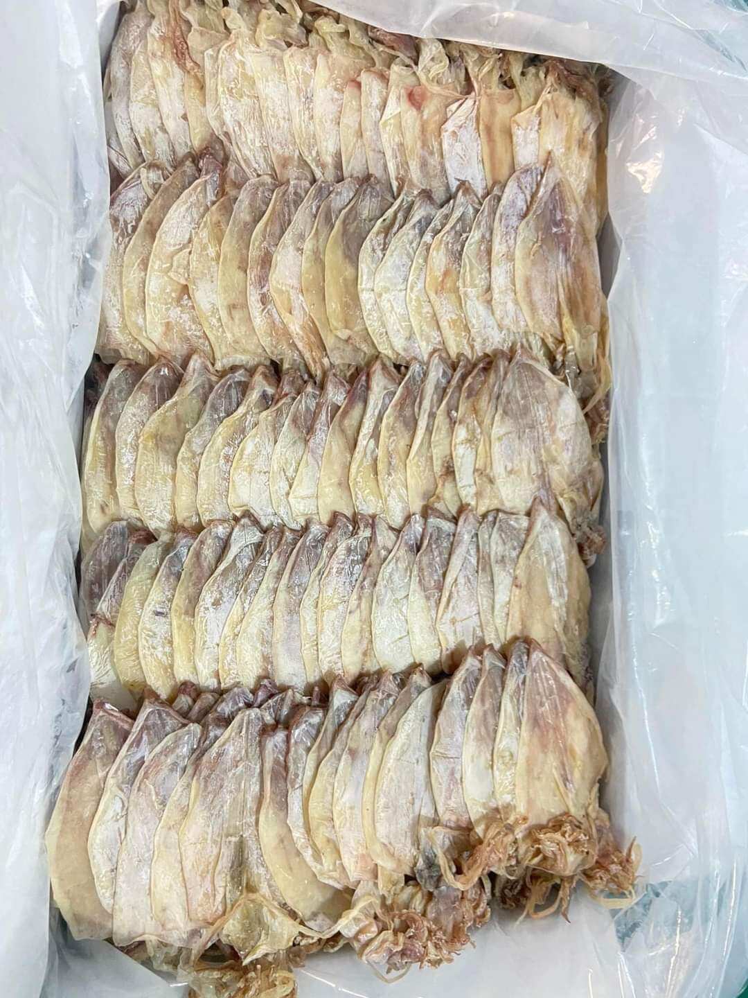 500kg mực khô size 30-35 con