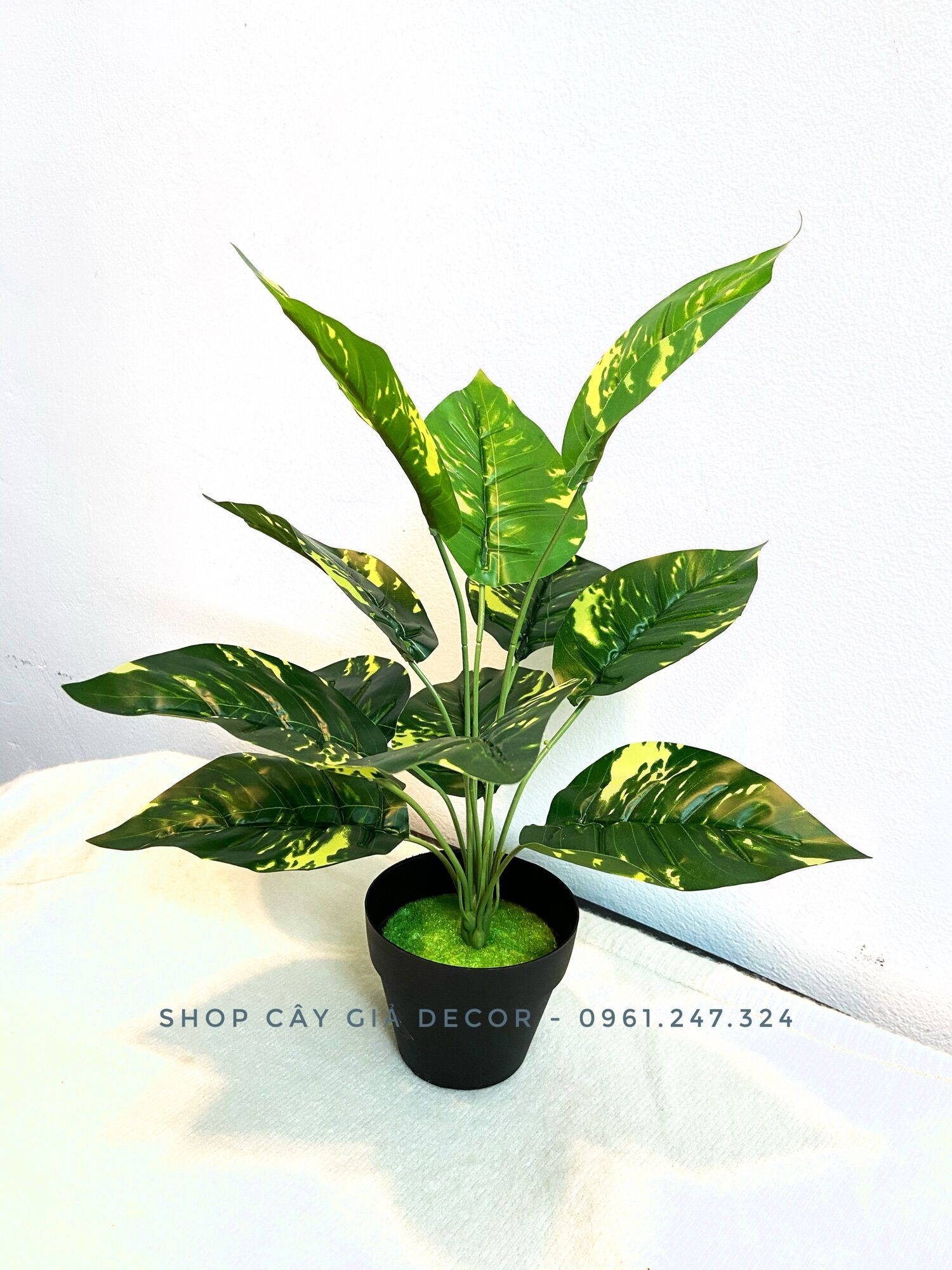 Cây giả - trầu bà lá đốm 30/40cm