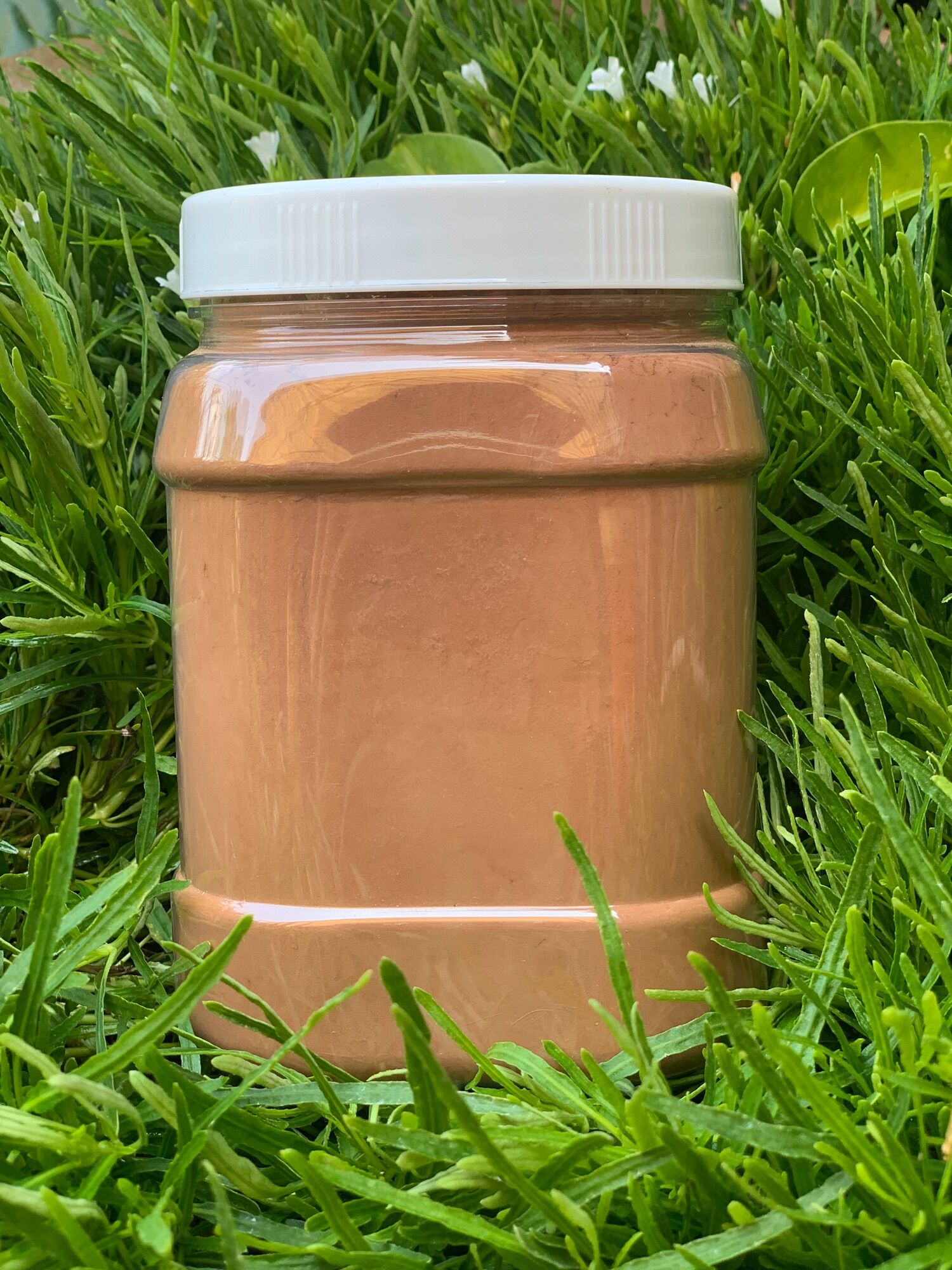 500g_Cacao Nguyên Chất Đăk Lăk