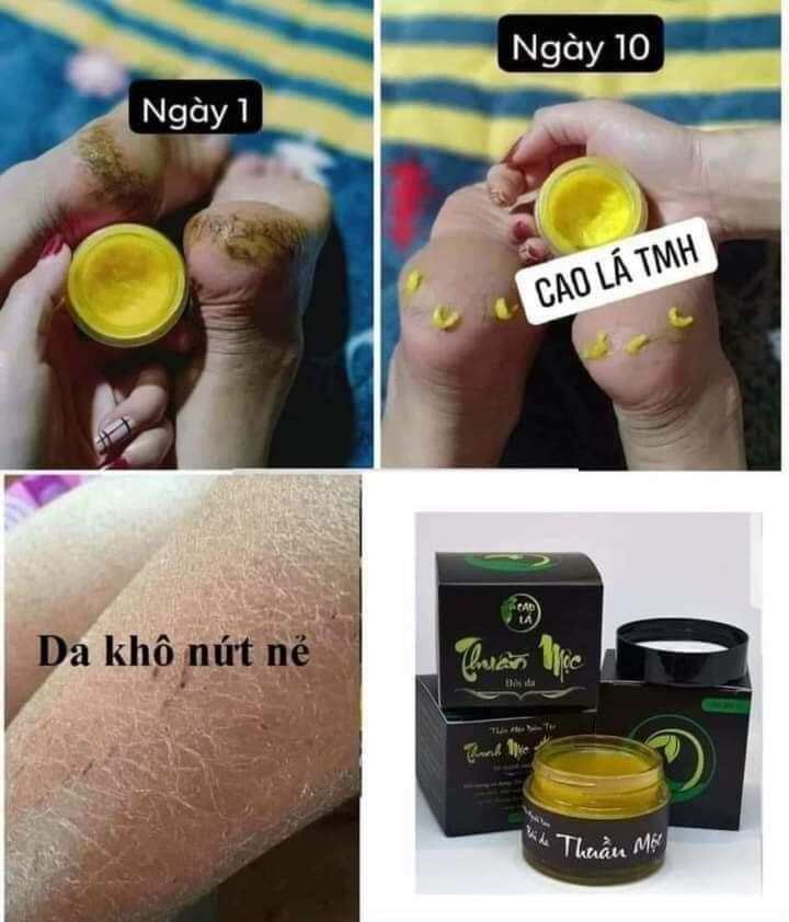 [Chính hãng] Cao lá Thuần Mộc Thanh Mộc Hương