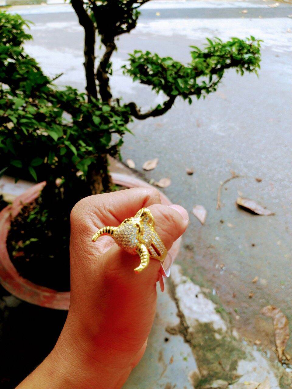Nhẫn Nam Con Trâu - 🐃🐃 - Nhẫn tuổi sửu