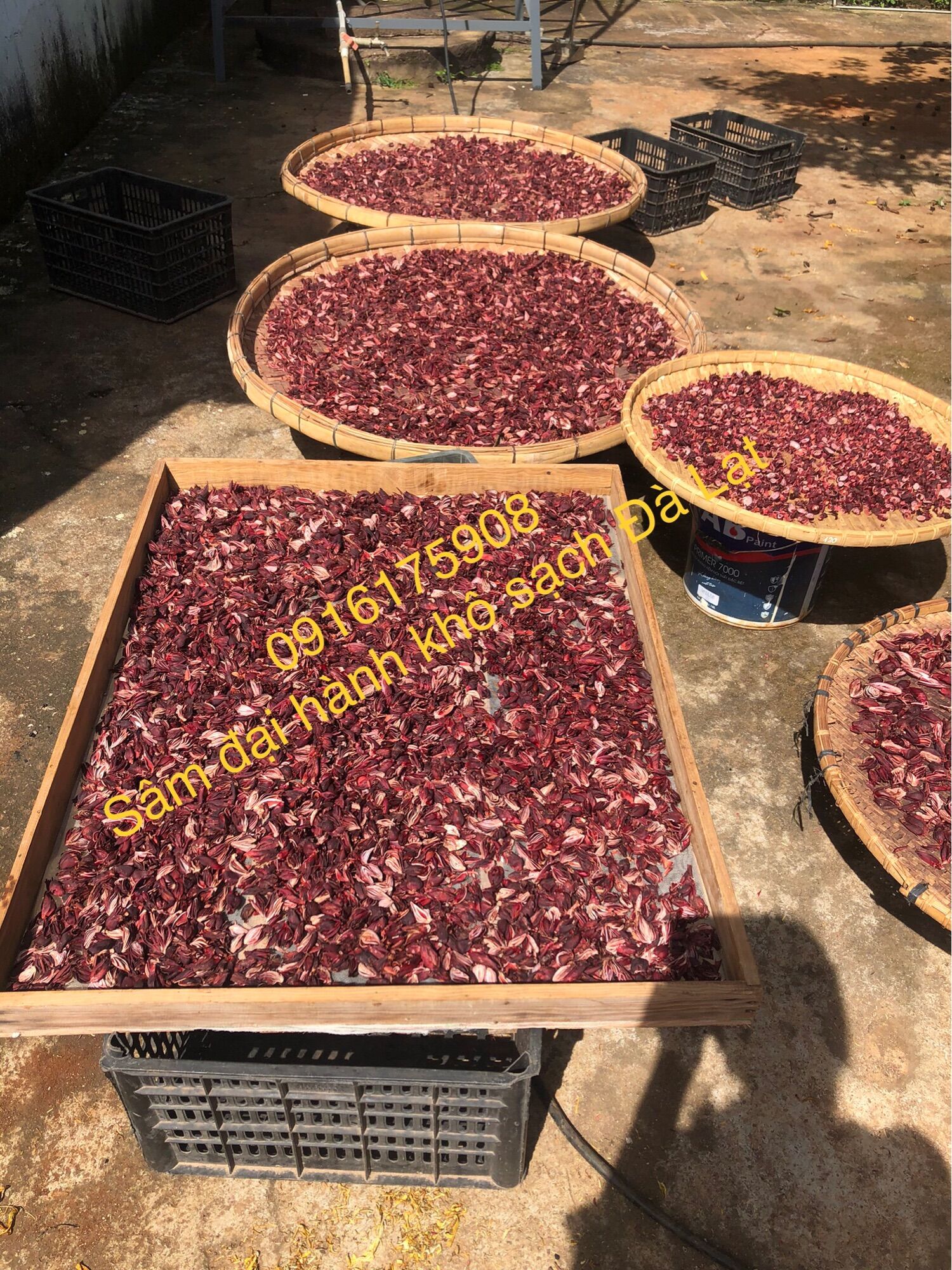 Sâm đại hành khô Đà Lạt 1kg(thái tay)