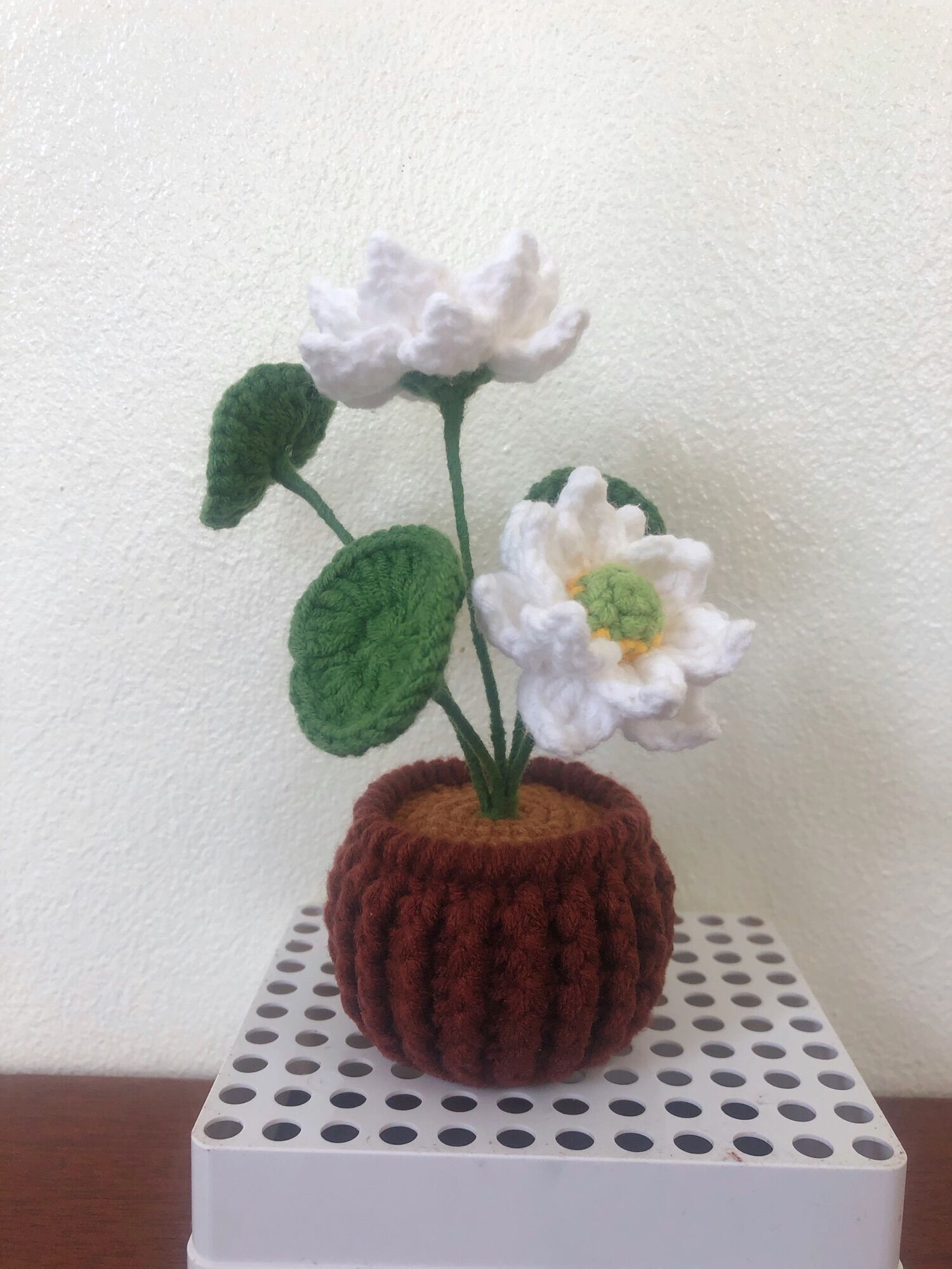 Chậu Hoa Sen mini bằng len handmade
