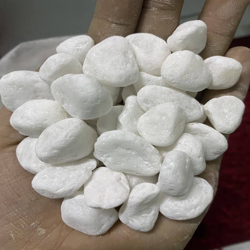 1 kg sỏi trắng trang trí hồ cá