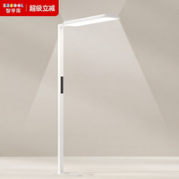 Children's Full Spectrum Desk Study Lamp