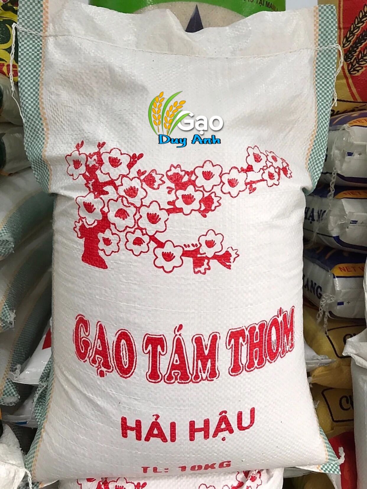 Gạo Tám Xoan Hải Hậu Nam Định thượng hạng