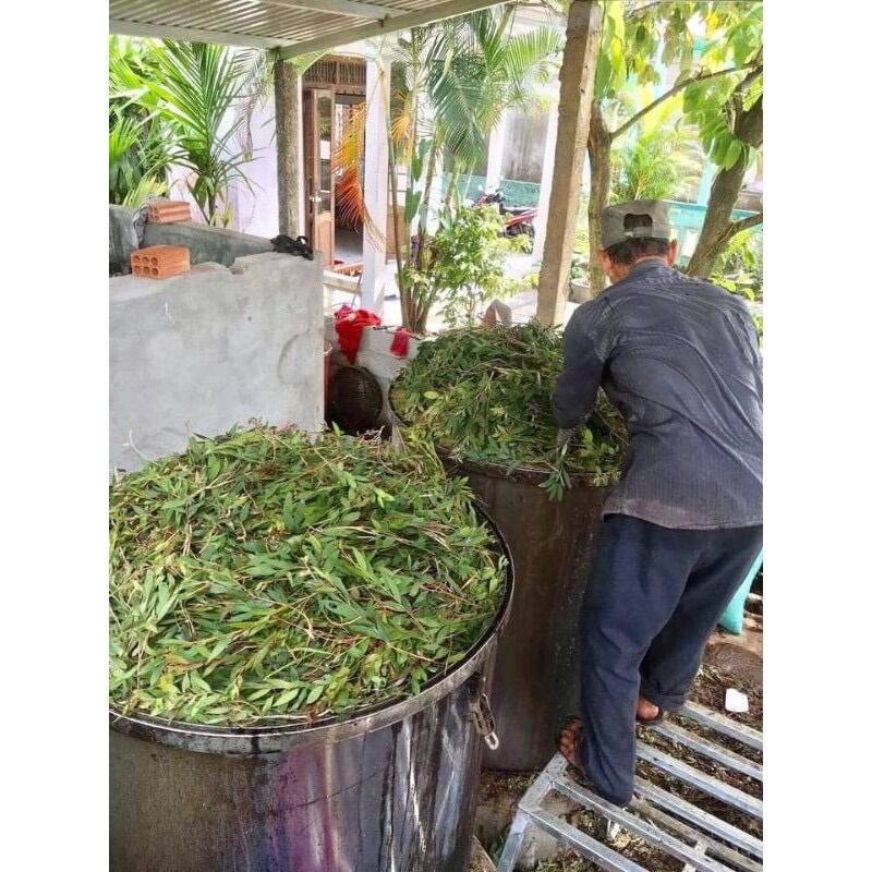 Dầu tràm Phước Quảng chai 100ml