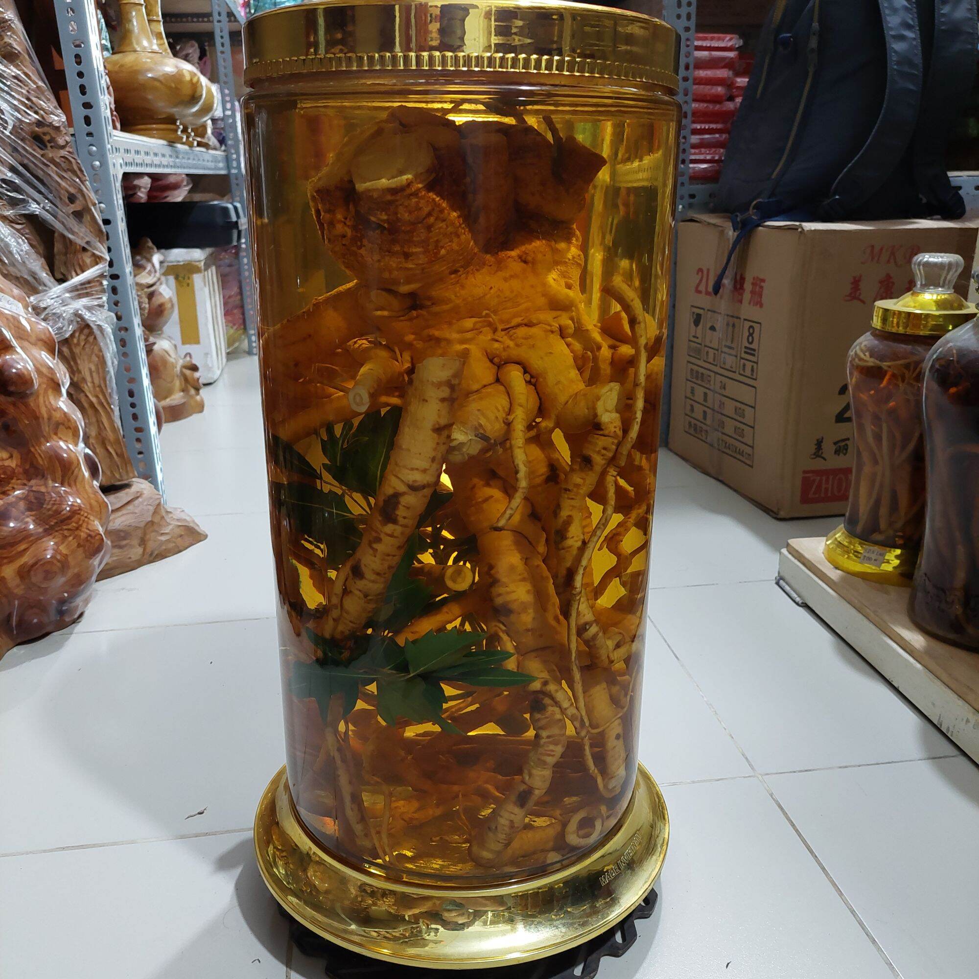 bình đinh lăng 25,8lit
