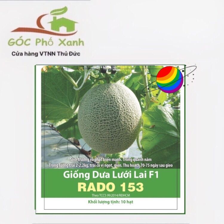 Hạt giống dưa lưới