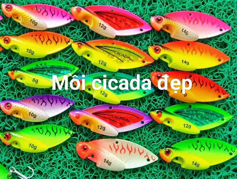 Mồi câu lure Cicada loại đẹp giá tốt
