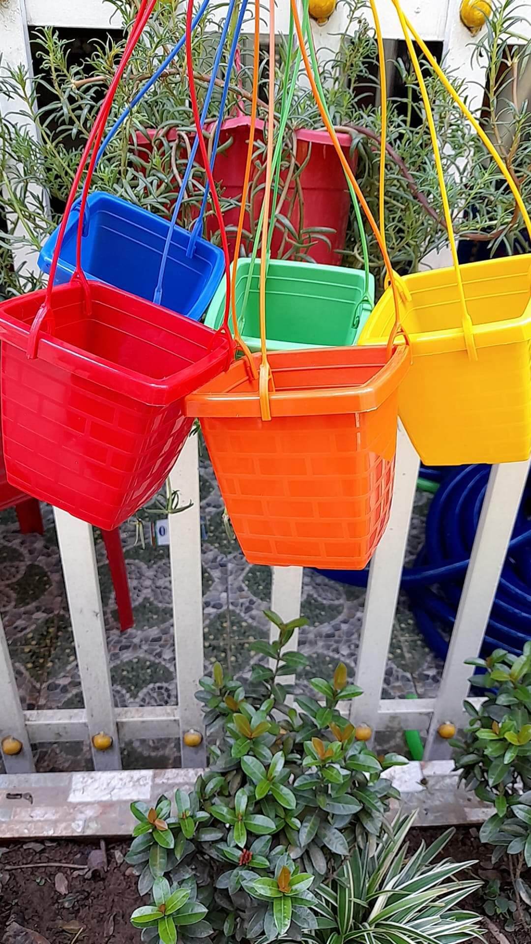 Chậu vuông trồng cây có móc treo