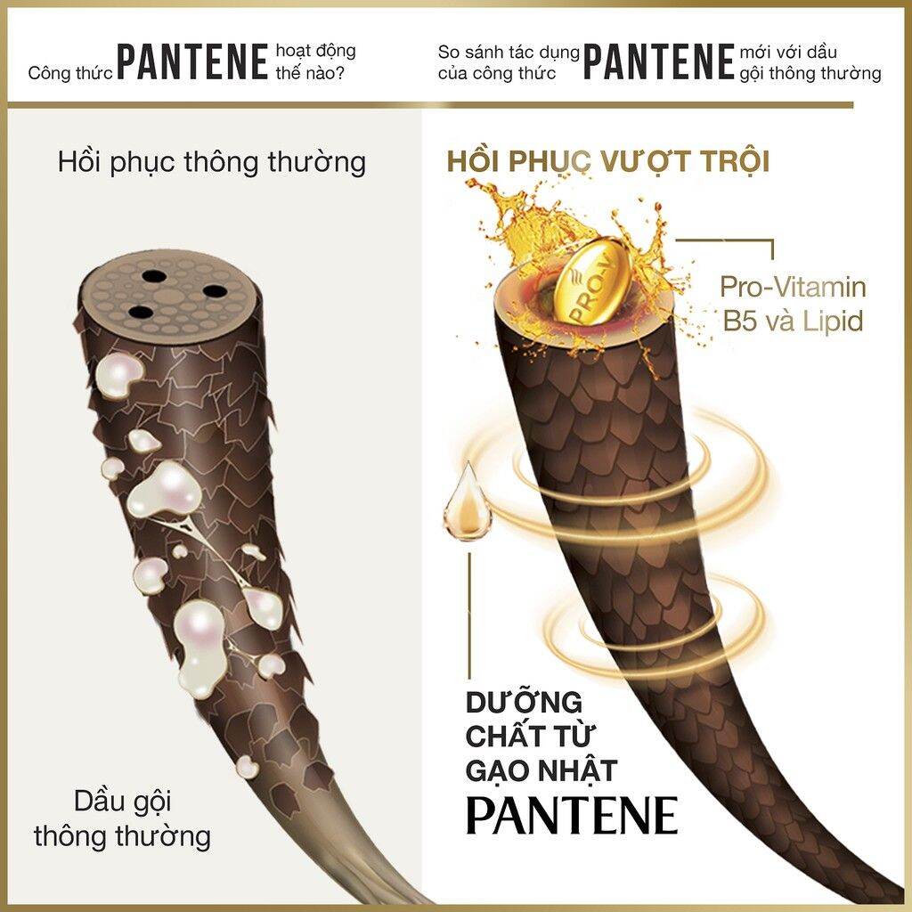 Dầu Gội Pantene chai 650ml
