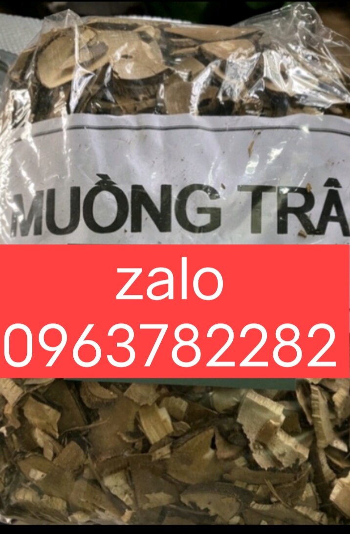 1 kg cây muồng trâu khô