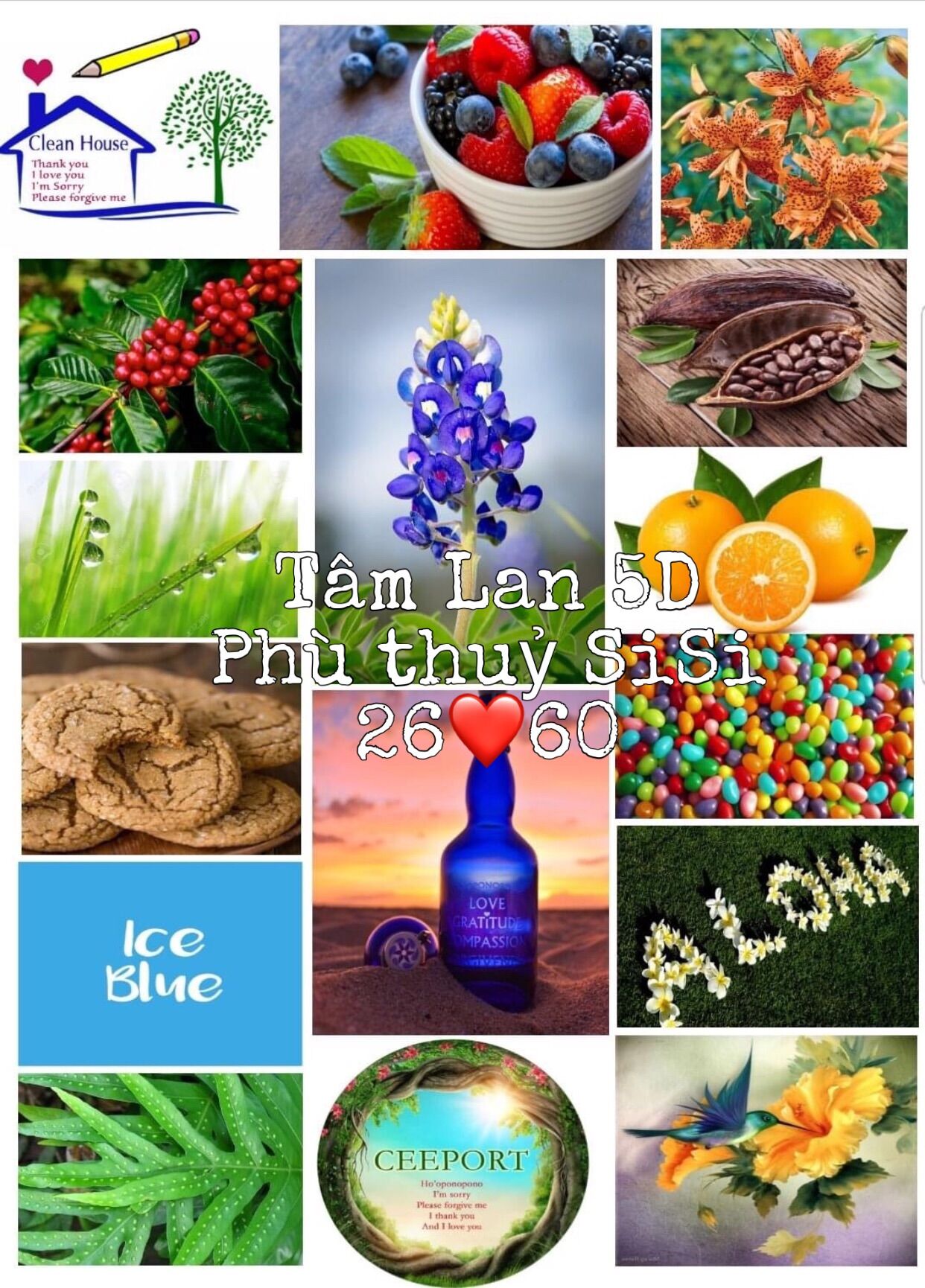 Chai Thuỷ Tinh Xanh Dương 500ml
