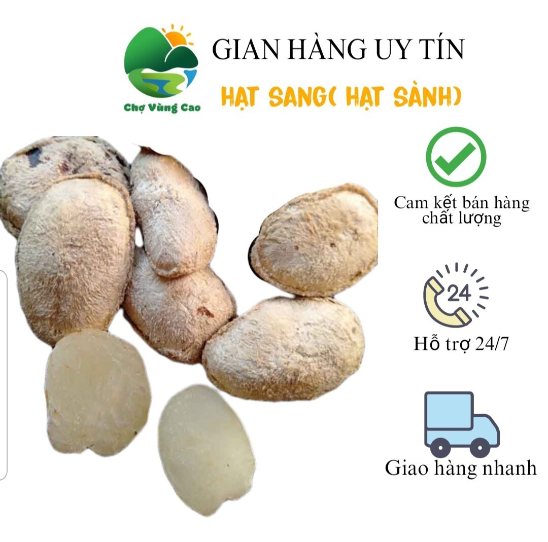 10 hạt sang hỗ trợ điều trị bệnh dạ dày