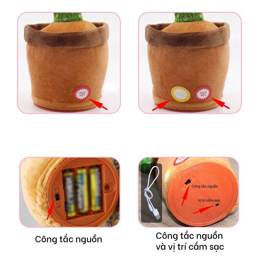 CÂY XƯƠNG RỒNG NHẢY MÚA