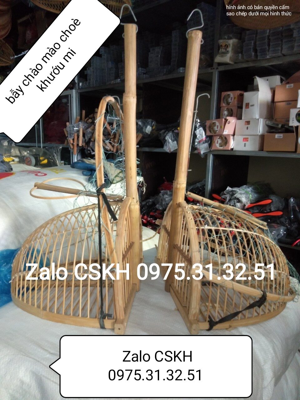 Bẫy chòe chào mào tre già 1 sập