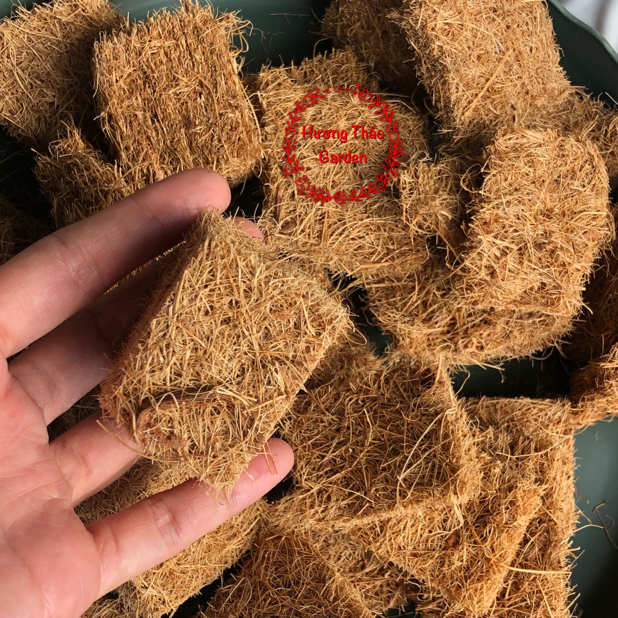 Xơ Dừa Trồng Lan Lavamix 3,5dm