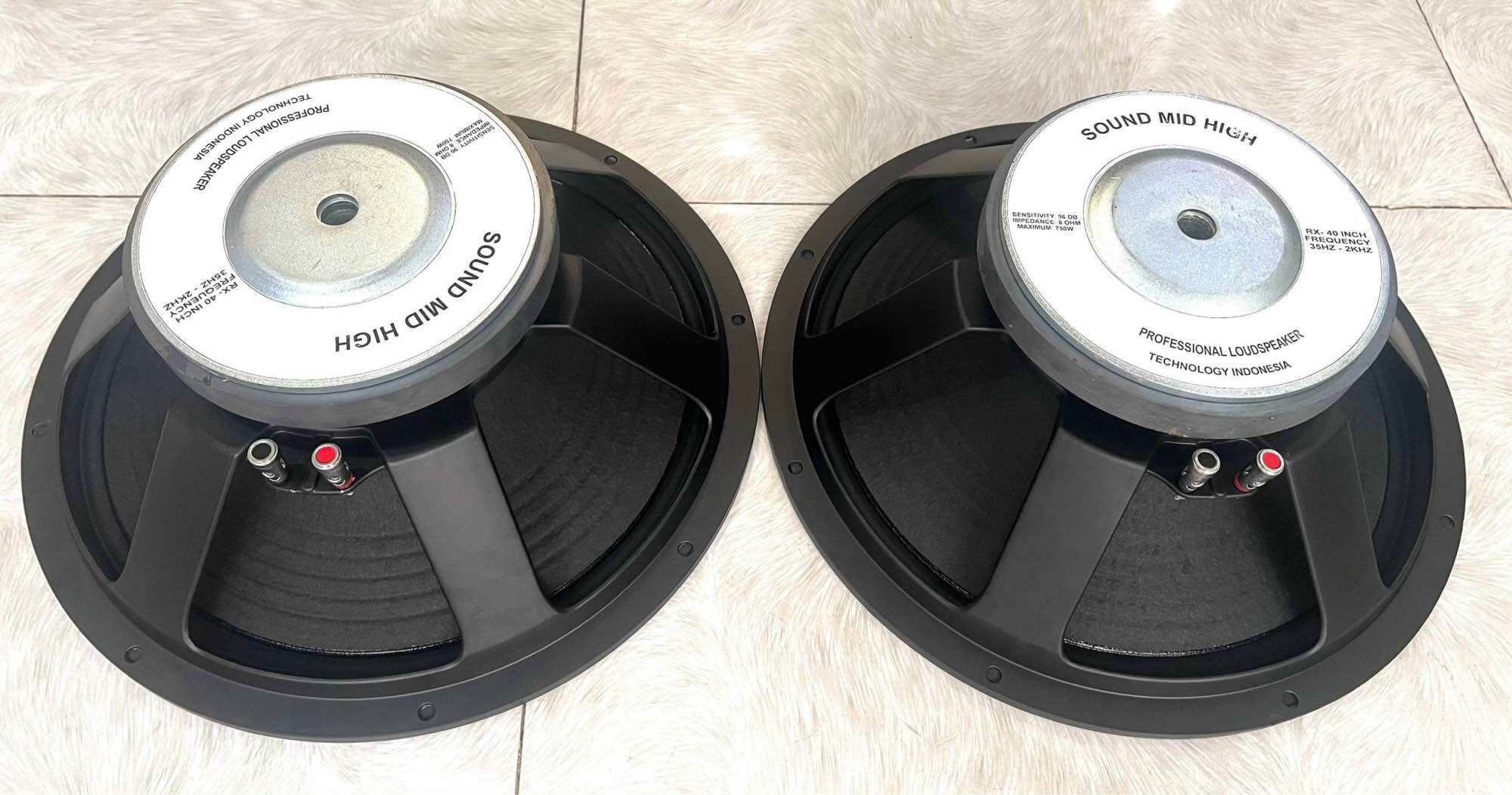 LOA BASS 40 RỜI TỪ 190 COIL 75 SƯỜN NHÔM CAO CẤP HÀNG NHẬP KHẨU CHUYÊN HÁT KARAOKE NGOÀI TRỜI SỰ KIỆ
