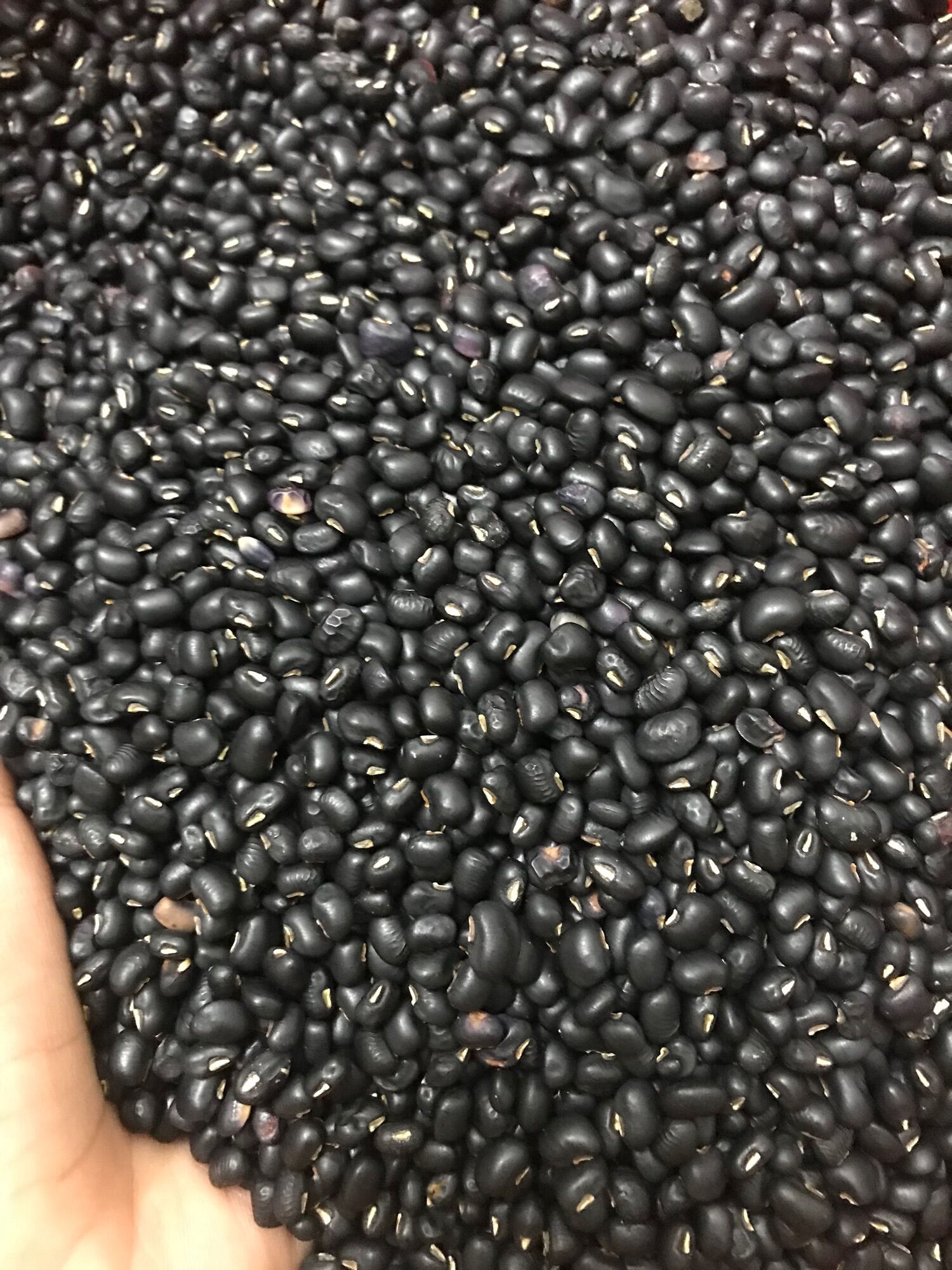 1kg đậu đen ( đỗ đen) xanh lòng giống quê