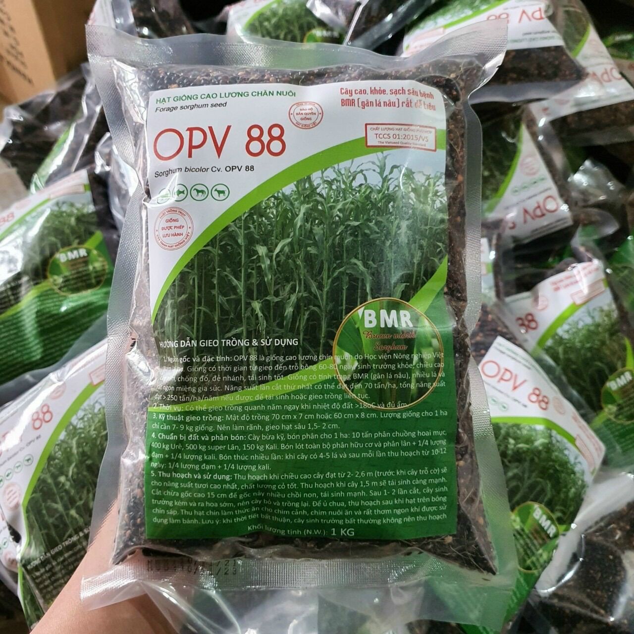 Hạt giống cỏ ngô OPV 88 gói 500g