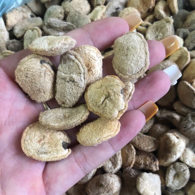 hạt sành( hạt sang) khắc tinh của bệnh dạ dày