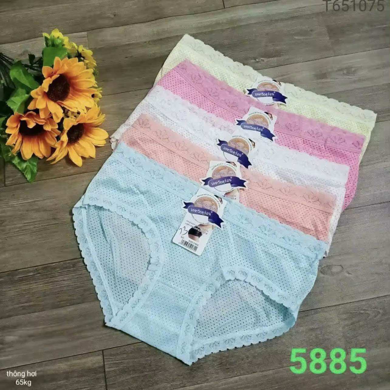 Combo 10 Quần Lót Nữ- Quần Cotton Thông Hơi Thái Lan Cho các Bạn 40-60kg