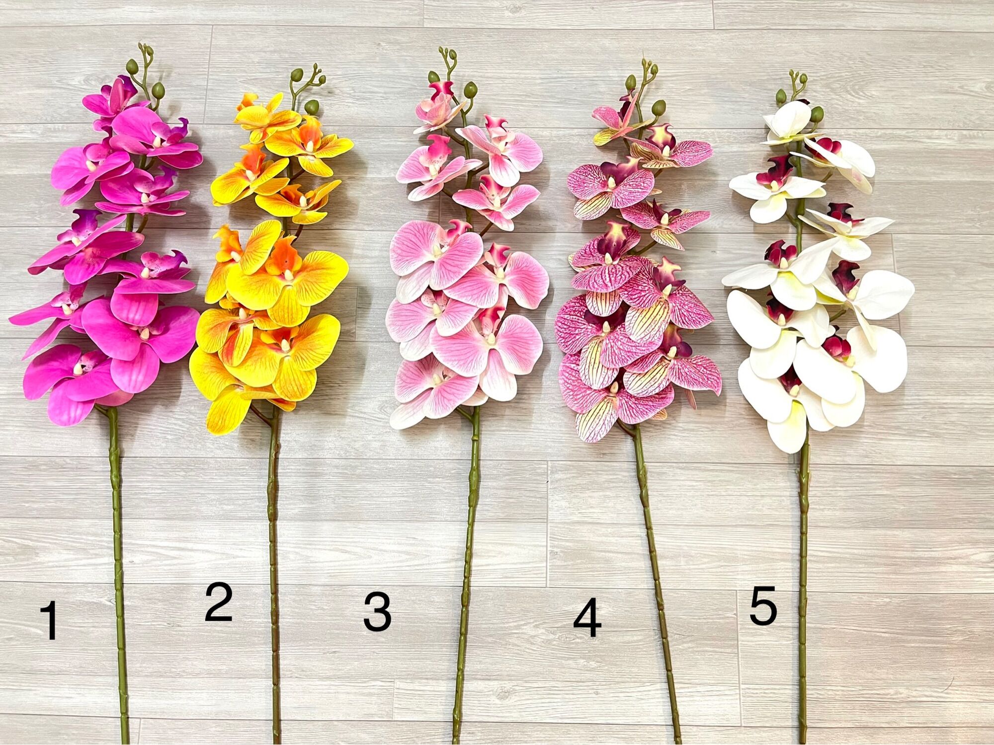 Hoa giả - hoa Lan hồ điệp cao su cao cấp