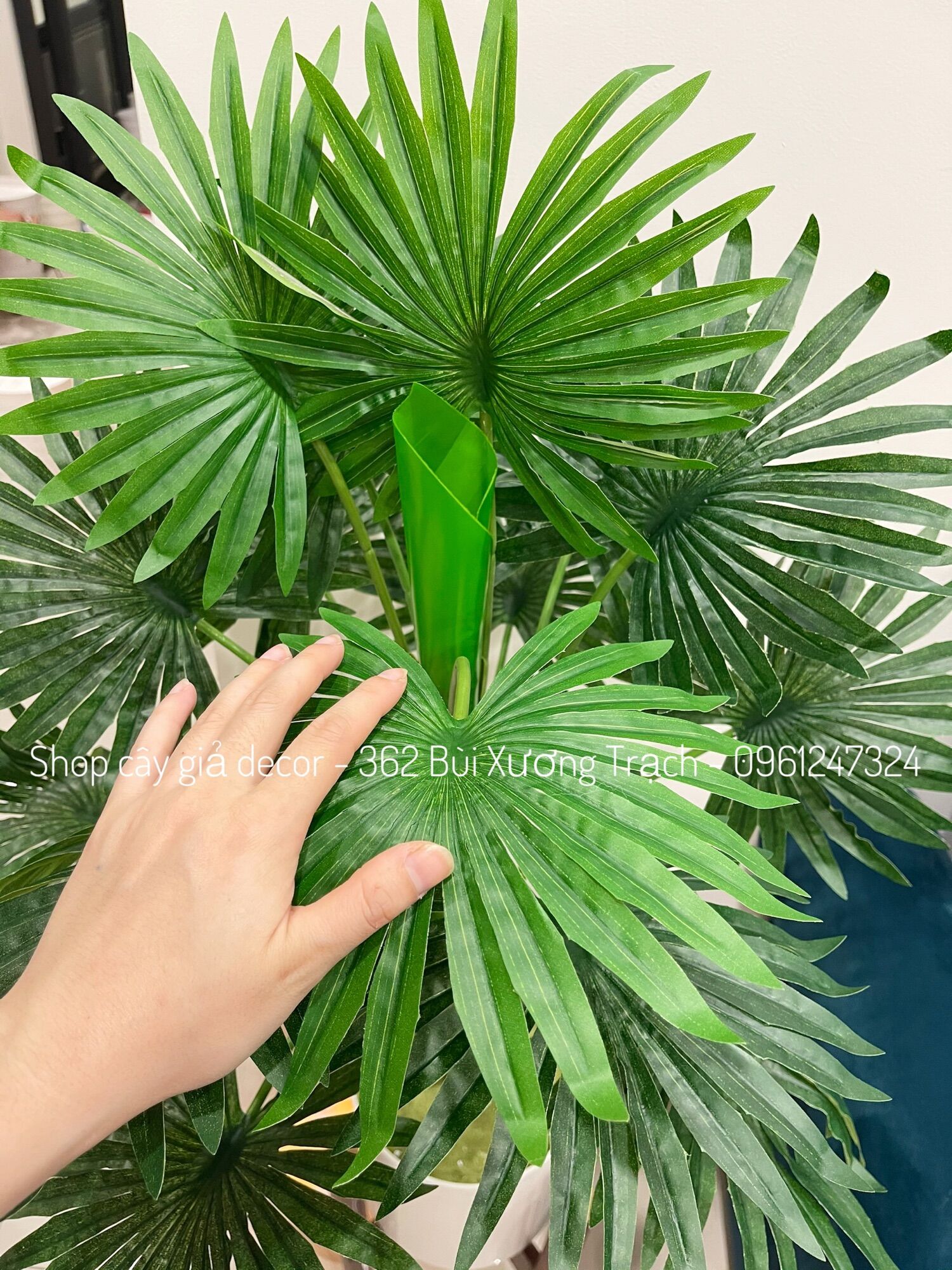 CÂY CỌ GIẢ DECOR - cây cọ gần 1m trang trí