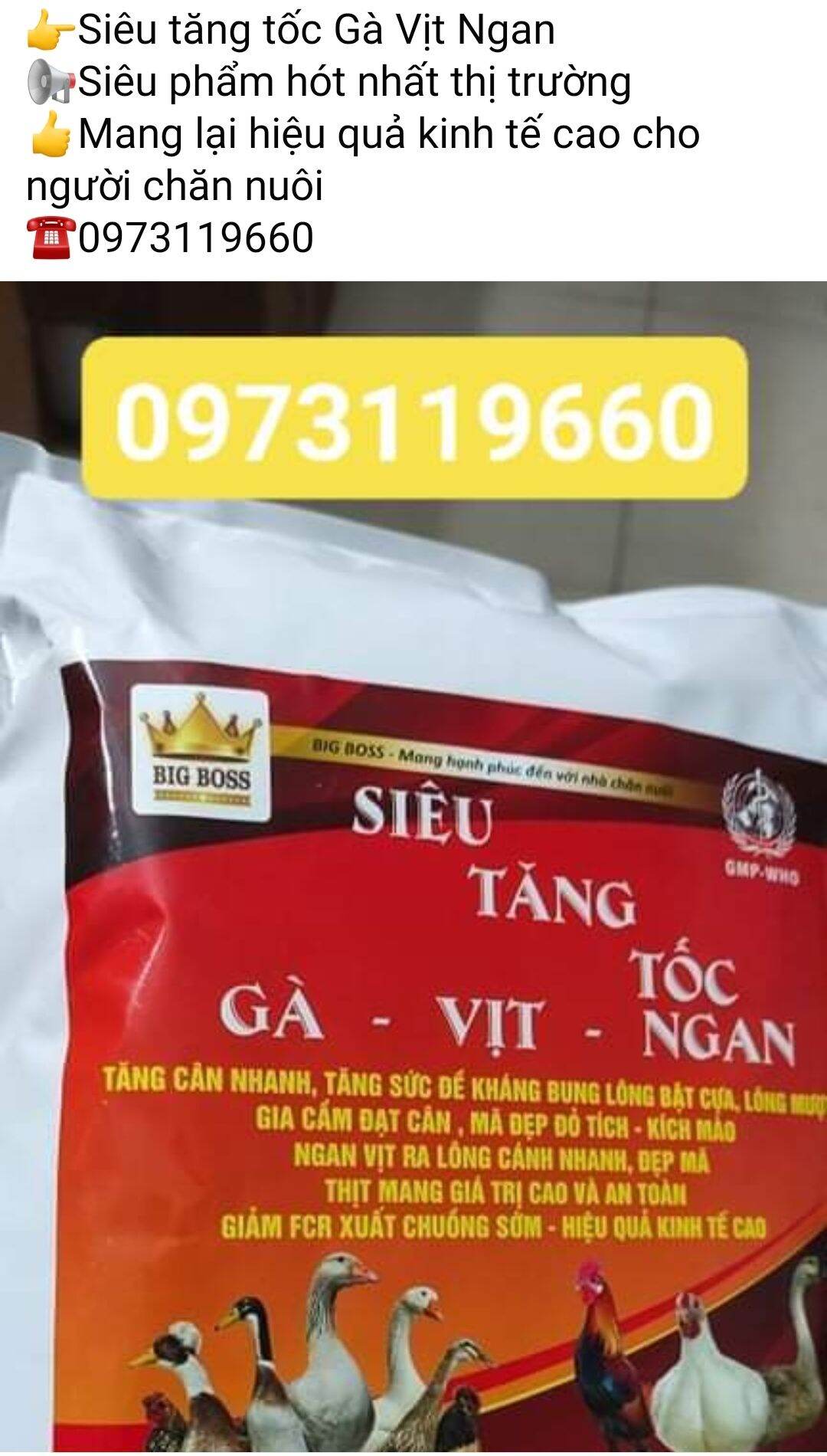 SIÊU TĂNG TỐC GÀ -VỊT-NGAN: gói1kg