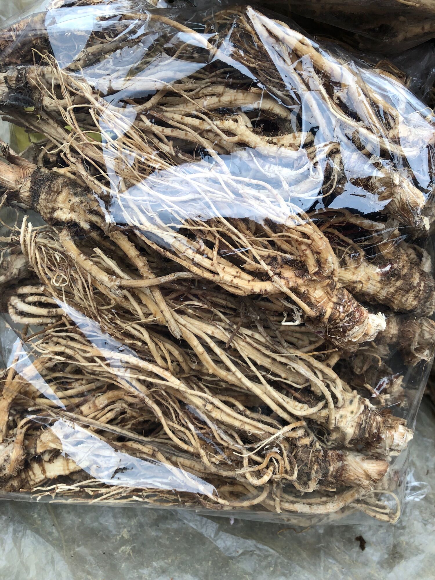 Sâm đương quy khô 165k/kg