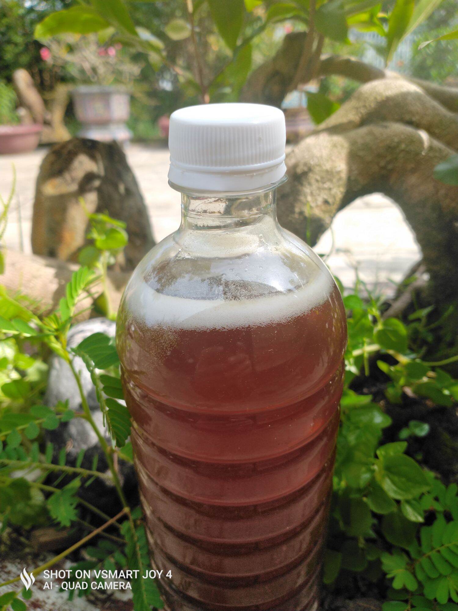 Mật ong rừng 100% tự nhiên