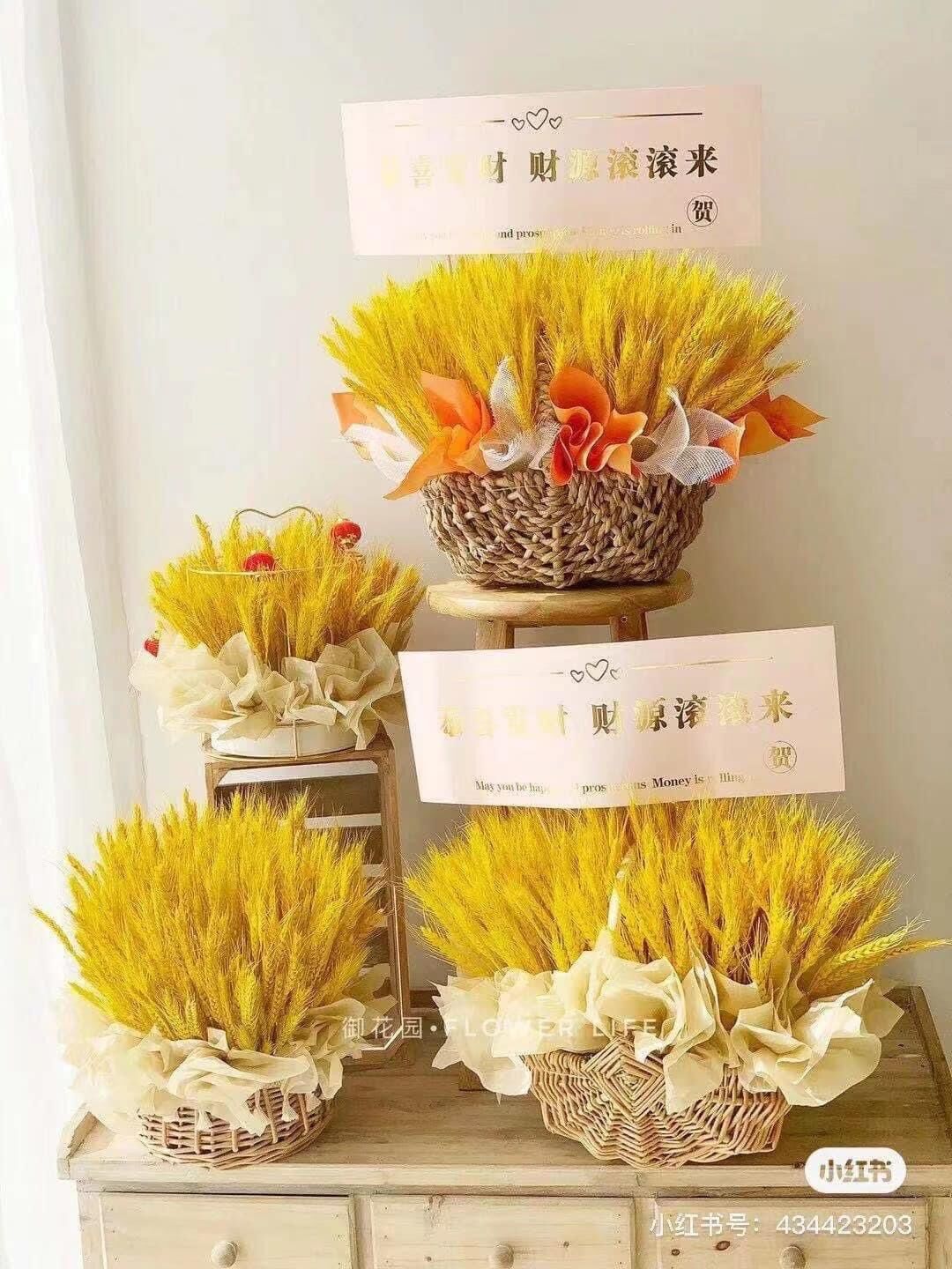 Cỏ lúa mạch khô bó 100 cành