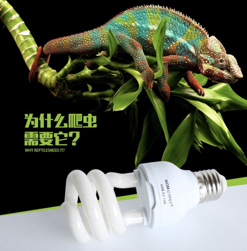 Đèn UVB 5.0 - Đèn UVB 10.0 - Đèn UVB 13W - Đèn UVB 26W cho bò sát