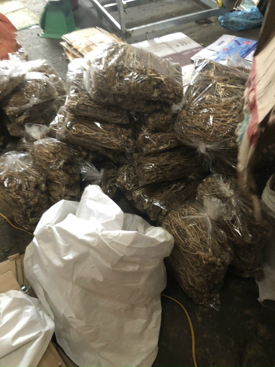 Sâm đương quy khô ( 200k/kg)