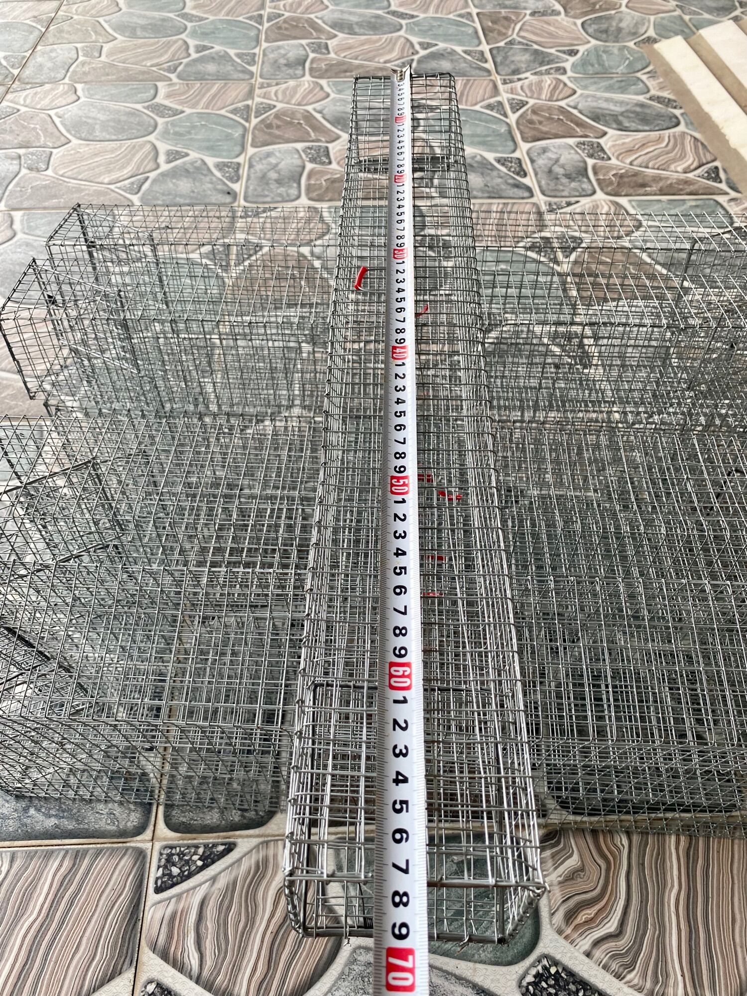 Bẫy rắn dài 700cm rộng 10 hai hôm