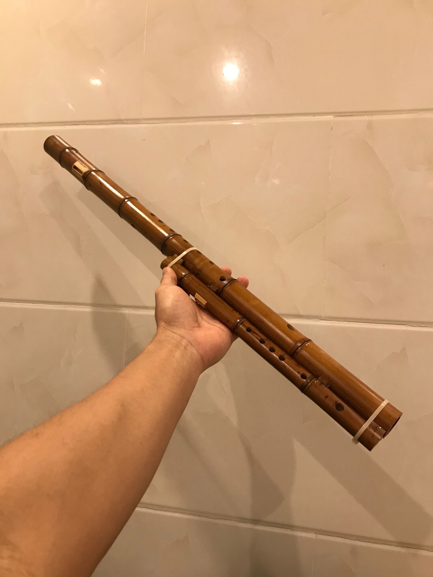 Sáo mèo kép trúc hun