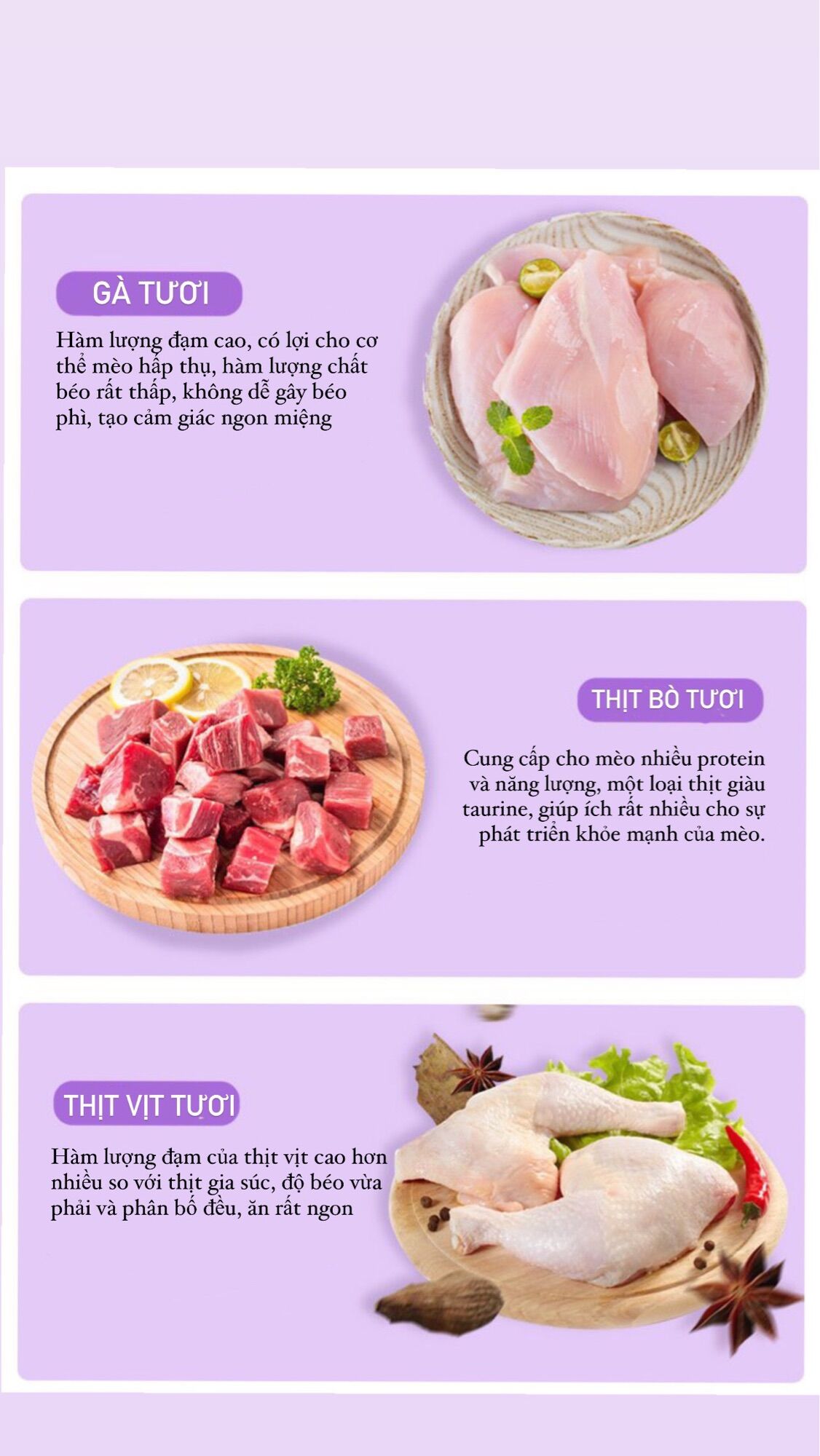 Thức ăn Modko cao cấp cho mèo (TÚI 1.5KG)