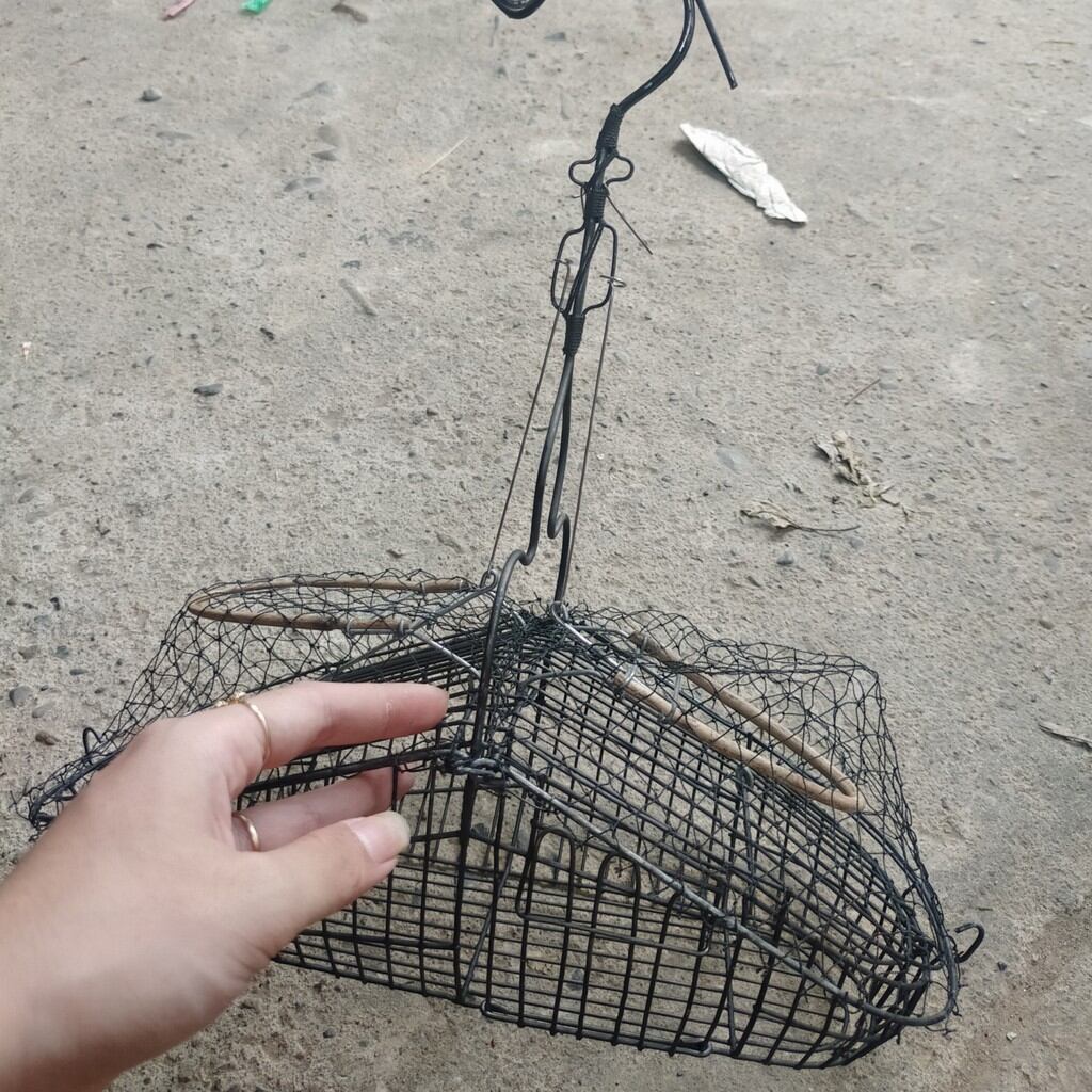Lụp bẫy mào sâu, khuyên ,chòe