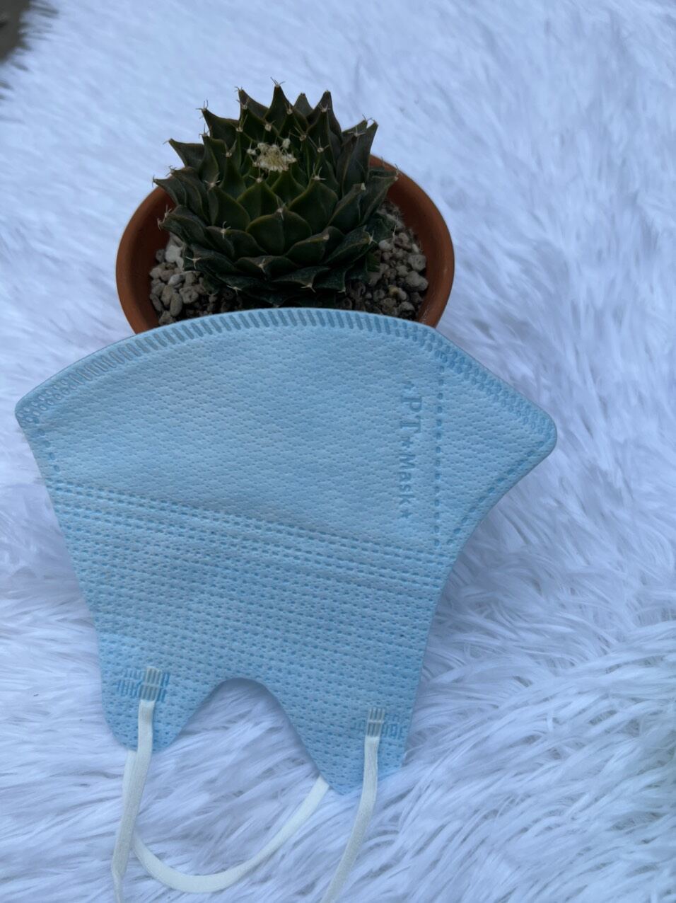 [ Thùng 100 Cái ] Khẩu Trang 5D PT Mask Cao Cấp.