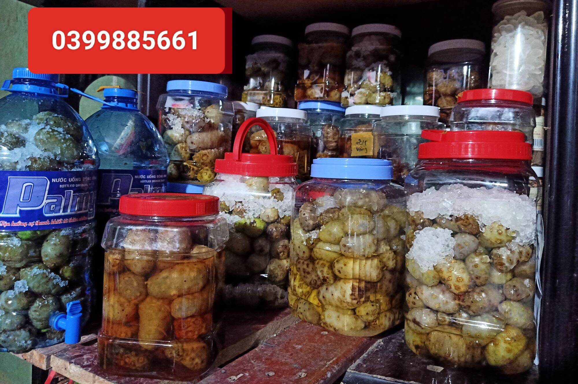 3kg trái nhàu ngâm 600g đường phèn