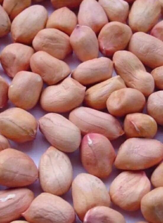1kg đậu phộng