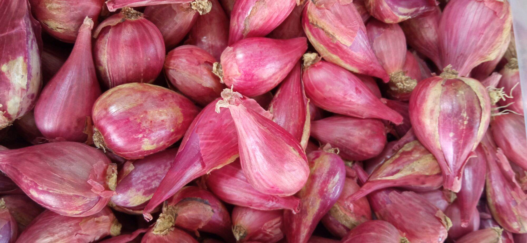 Hành tím khô Ninh Thuận loai 1
