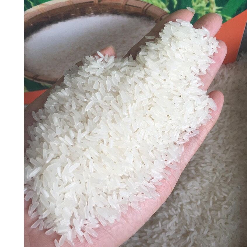 Gạo Hương Lài - Dẻo vừa,mềm cơm (Túi 10kg).