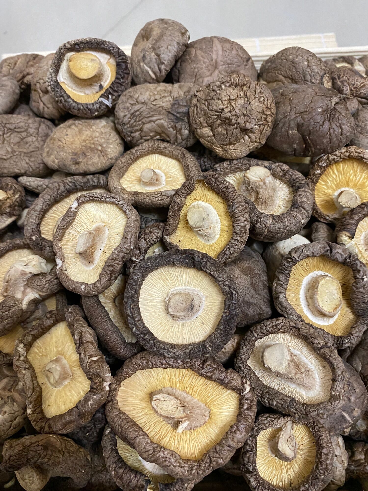 100g nấm đông cô