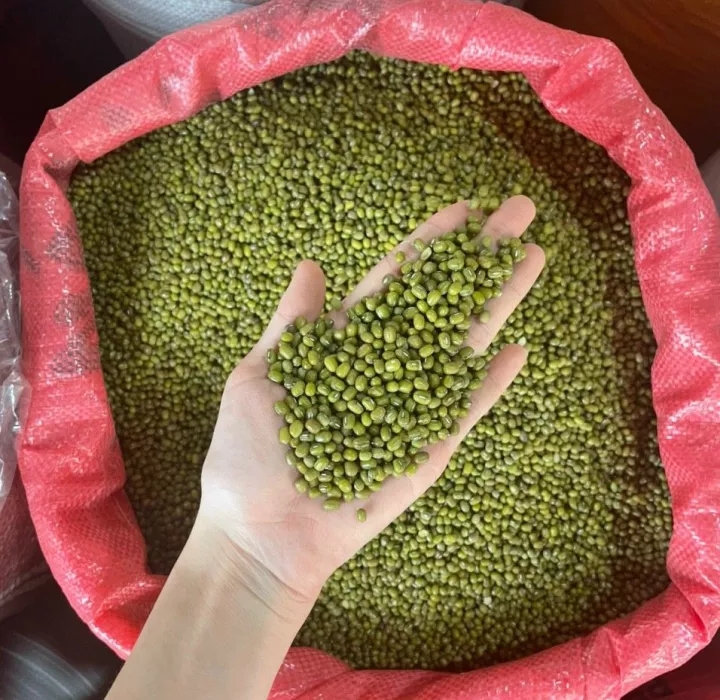 500gr - 1kg đậu xanh nguyên hạt loại 1