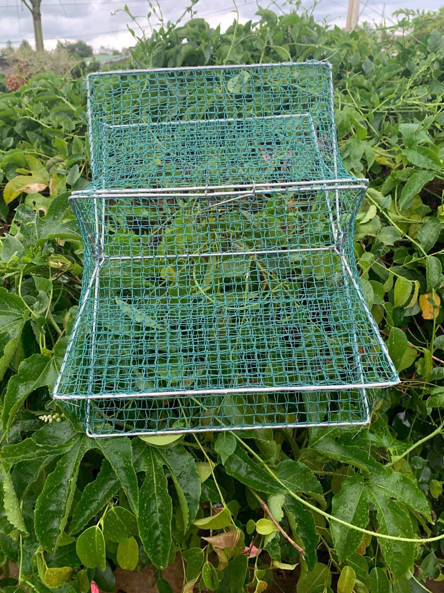 Lồng bẫy cua hiệu quả