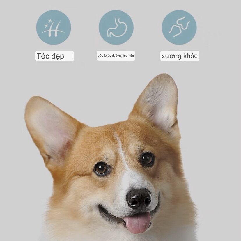Thức ăn chó chó CORGI KERES TÚI 2kg