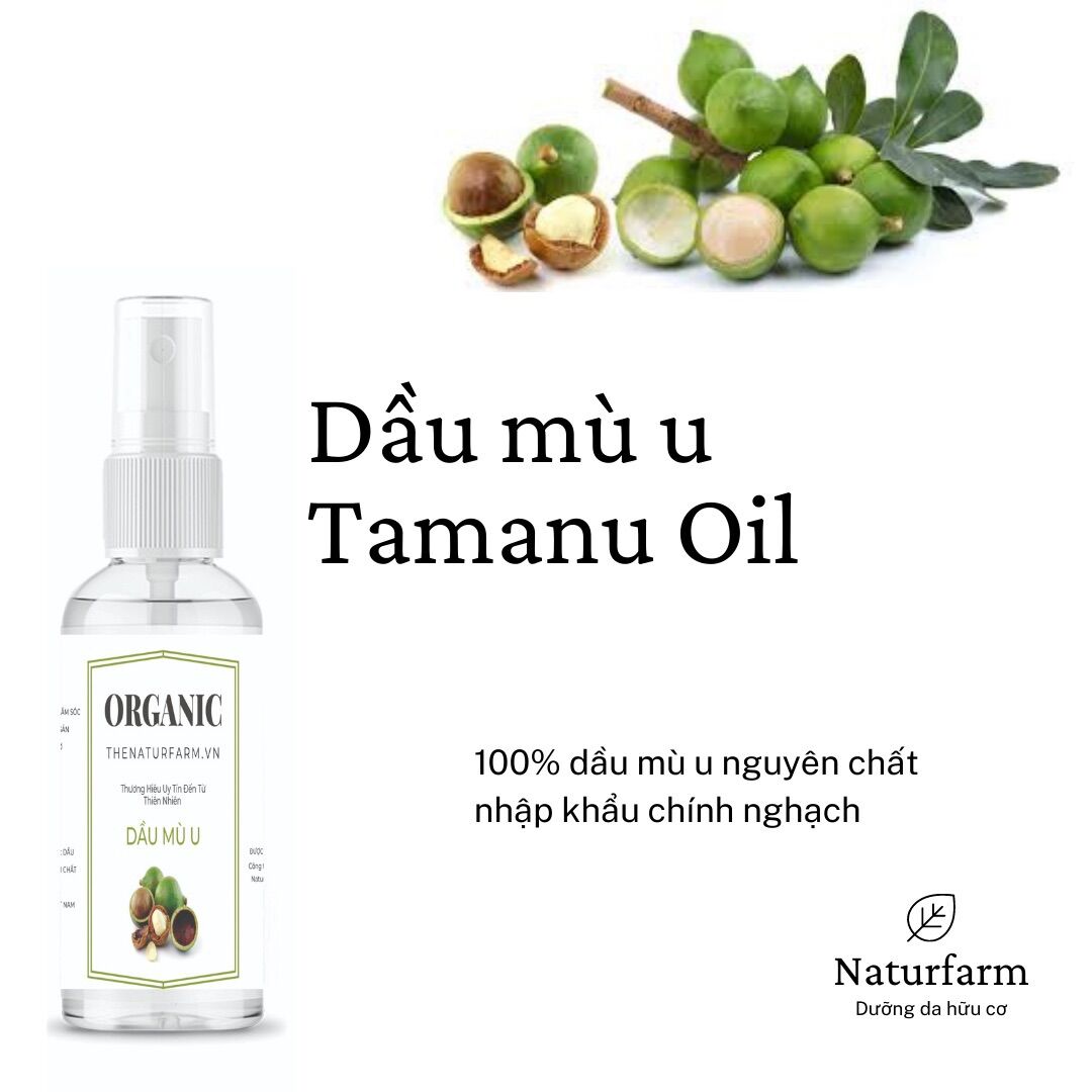 Dầu mù u nguyên chất 100ML ( Mù u vàng nguyên chất )