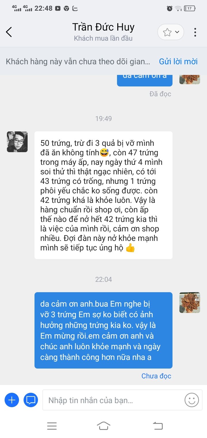 trứng chim trĩ 10 trứng về ấp